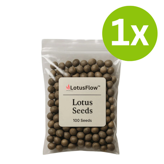 LotusFlow.