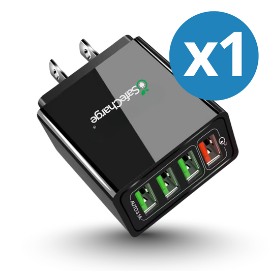 SafeCharge™